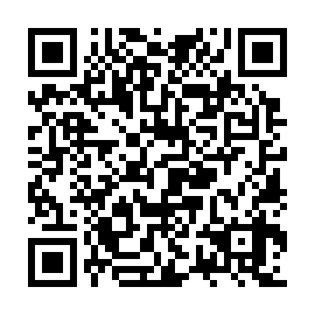 QR code for ZWO 338