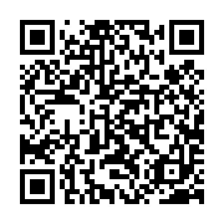 QR code for ZWT 493