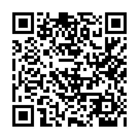 QR code for ZWZ 493
