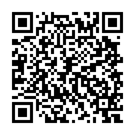QR code for ZXB095