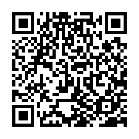 QR code for ZXD 700