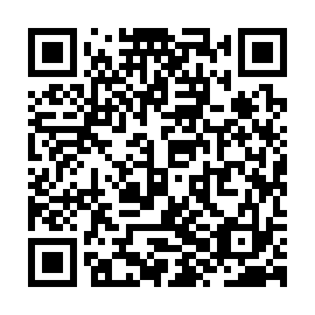 QR code for ZXI333