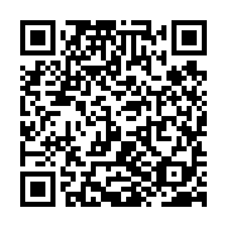 QR code for ZXK699