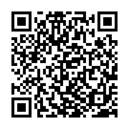 QR code for ZXL 313