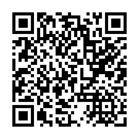 QR code for ZXL 917