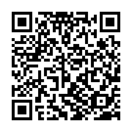 QR code for ZXL318