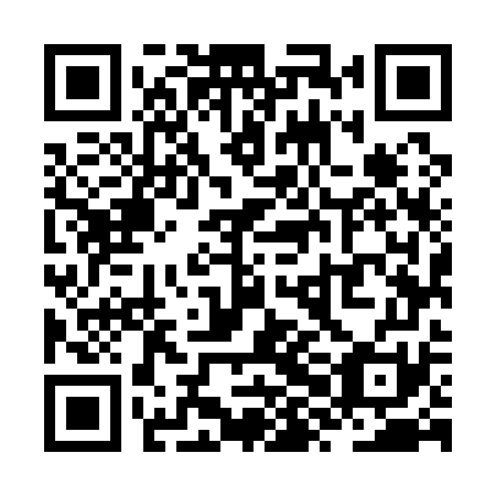 QR code for ZXM 171