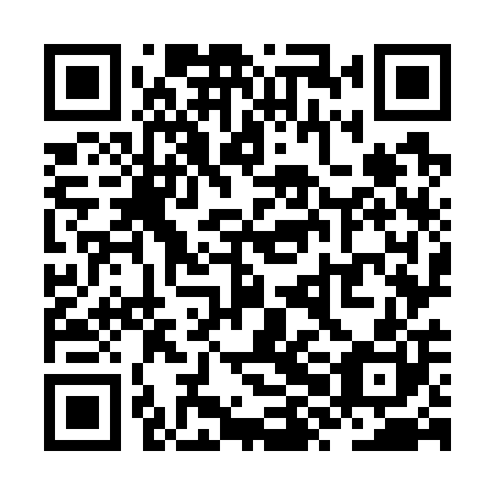 QR code for ZXO 700
