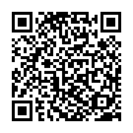 QR code for ZXR069