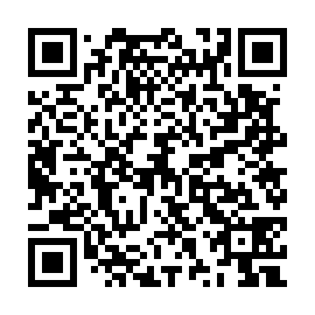 QR code for ZXW538