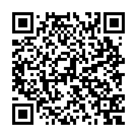 QR code for ZXX 331