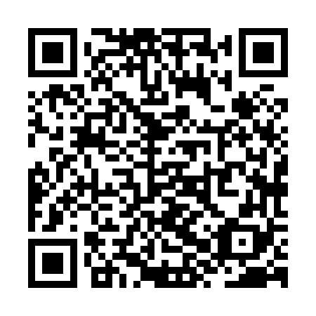QR code for ZXX 868