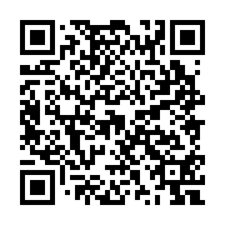 QR code for plate ZXX 310