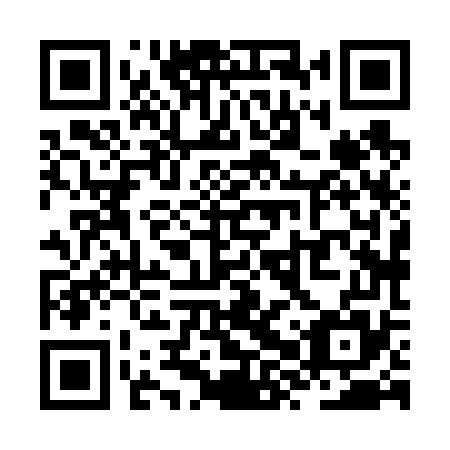 QR code for plate ZXX 675