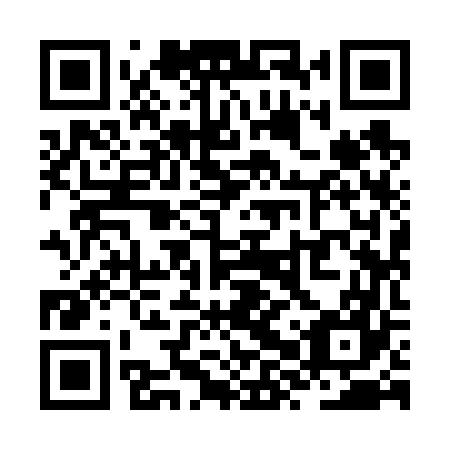 QR code for ZXY 667