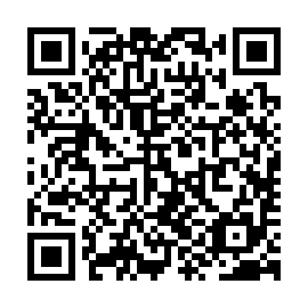 QR code for ZYB395