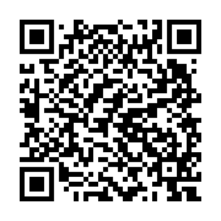 QR code for plate ZYB 695
