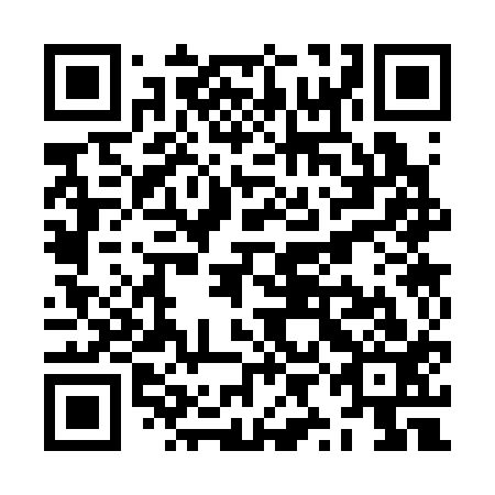 QR code for plate ZYC 313