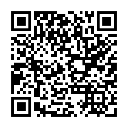 QR code for ZYD 383