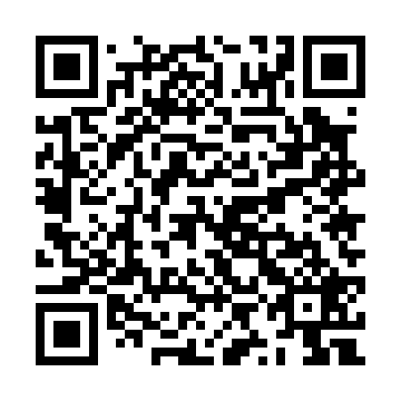 QR code for ZYE 029
