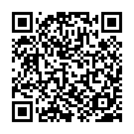 QR code for ZYF 095