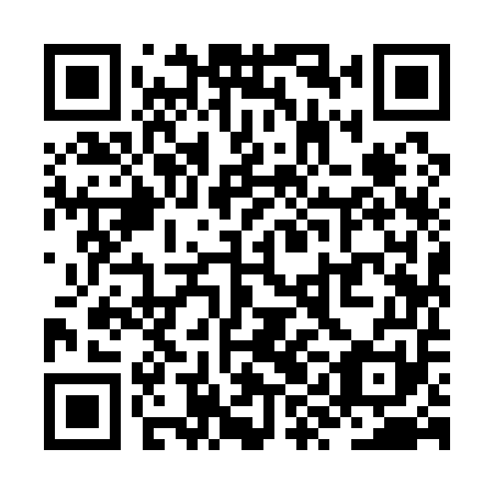 QR code for ZYI151