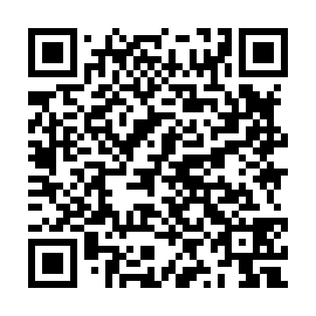 QR code for ZYI838