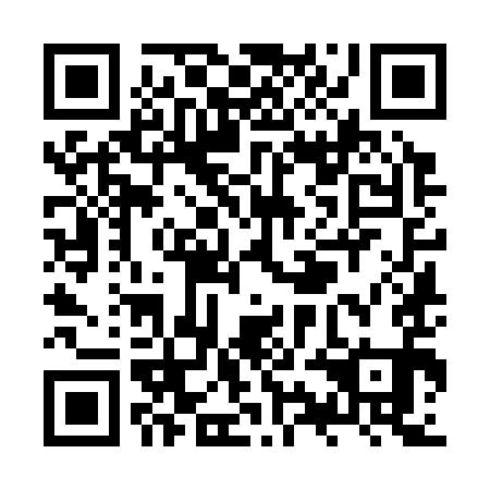QR code for ZYK391