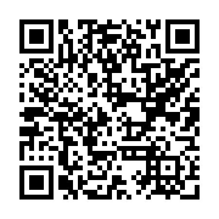 QR code for ZYL 870