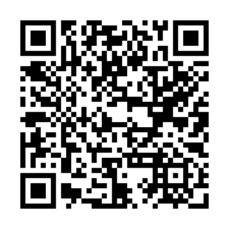 QR code for ZYL399