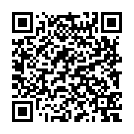 QR code for ZYL931