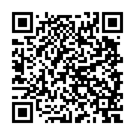 QR code for ZYN 482