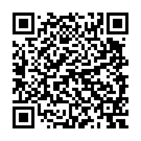 QR code for ZYN 494