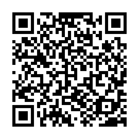 QR code for plate ZYN 399
