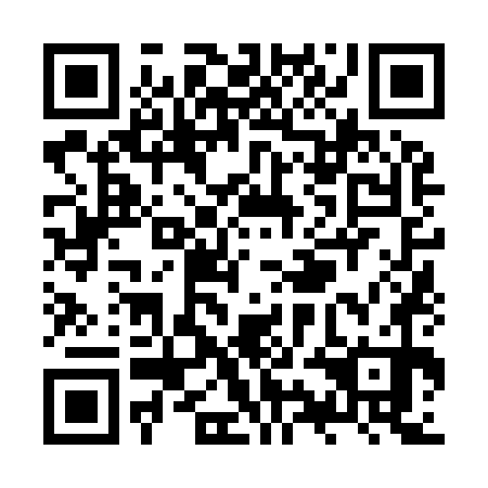 QR code for ZYN970