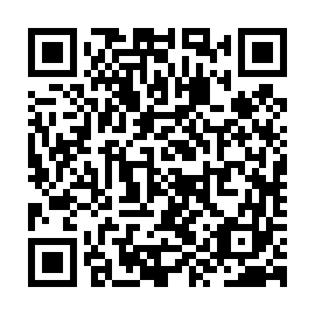 QR code for ZYR463