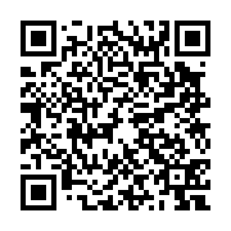 QR code for ZYS031