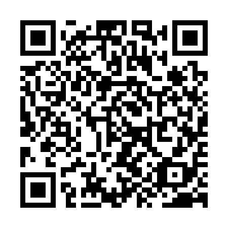 QR code for ZYS318