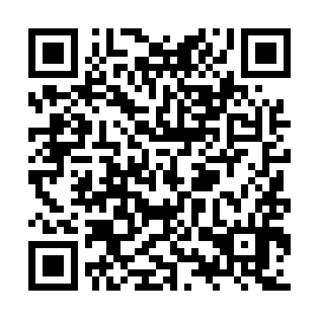 QR code for ZYT 594