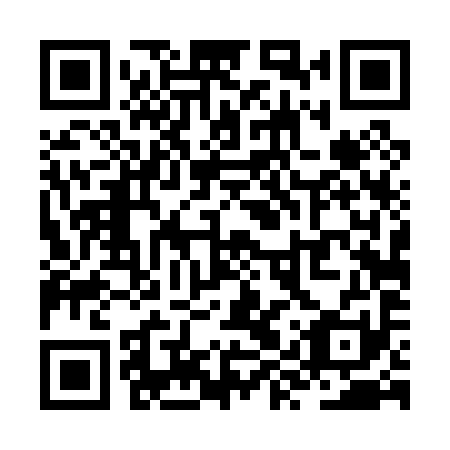 QR code for ZYT091