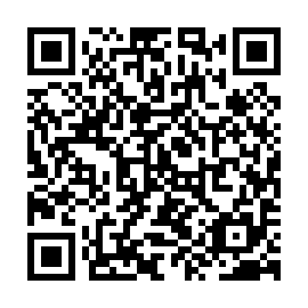 QR code for ZYU 095