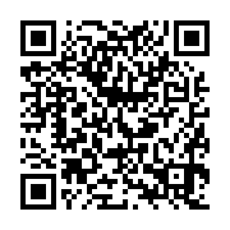 QR code for ZYV 070