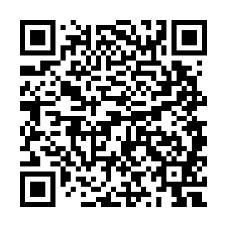 QR code for ZYV 781