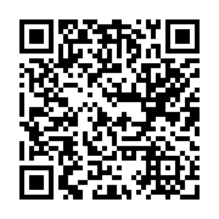 QR code for ZYX 951