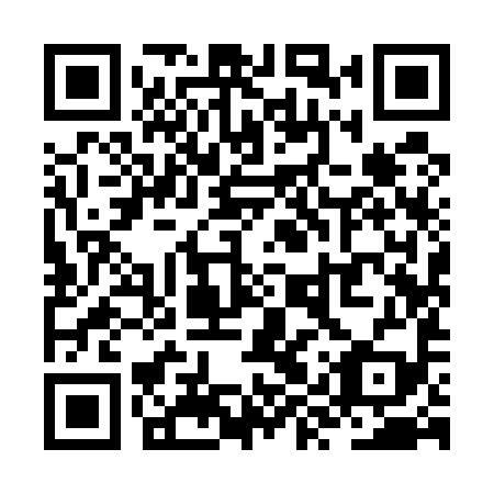 QR code for ZYY 599