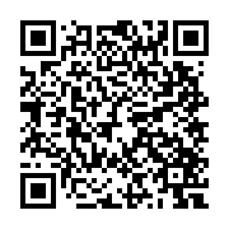 QR code for ZYZ 747
