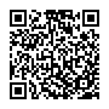 QR code for ZZC387