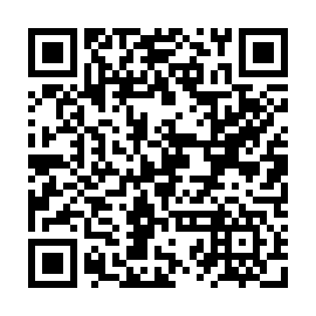 QR code for ZZD347