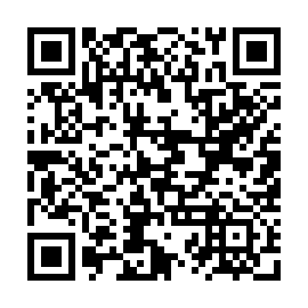 QR code for ZZE333