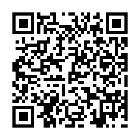 QR code for ZZJ 313